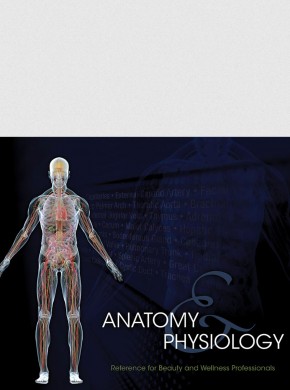 MILADY'S STUDENT REFERENCE FOR ANATOMY & PHYSIOLOGY CHARTS, 2ND ED.  1