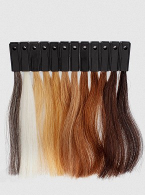 12-PC HAIR COLOUR TESTER SET