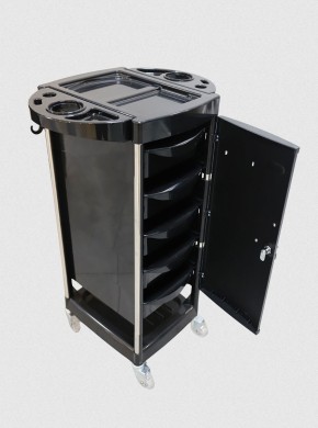 SALON LOCKABLE TROLLEY 2