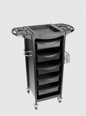 HEAVY DUTY SALON TROLLEY 2